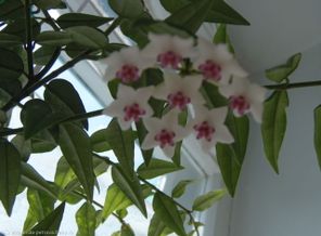 P5130553