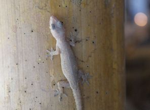 IMG_0550