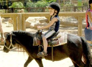 poni)