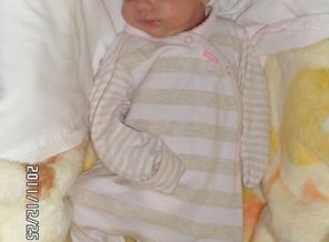 SAM_0554