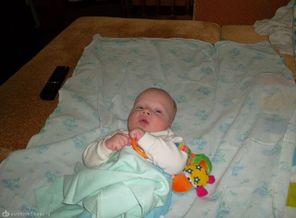 SAM_0134