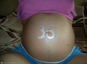 36