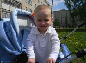 Изображениен.п 013