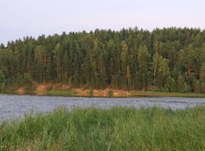 берег