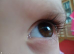 DSC00992