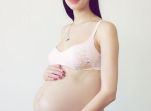 IMG_0539
