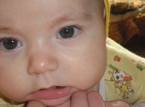 SAM_0107