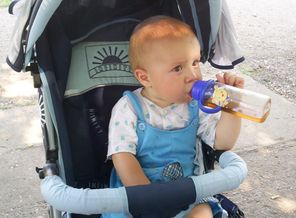 Сосунок в коляске