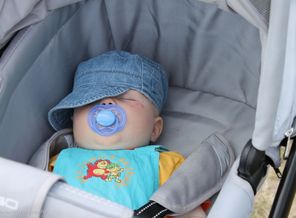 IMG_7930