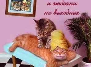 Отдохни!