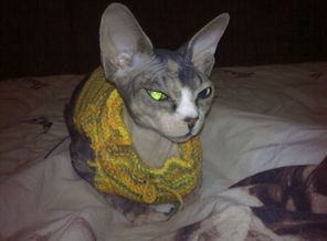 Моя Любимица