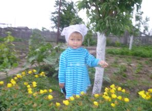 P1050100