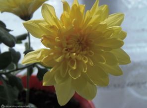 P5130543