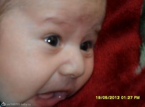 SAM_1851