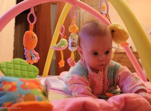 IMG_2455