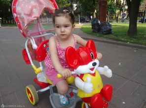DSC00811