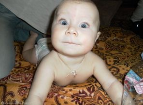 SAM_1669