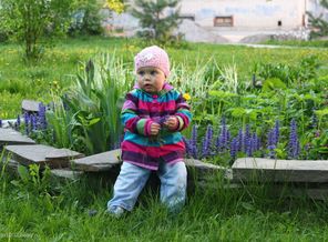 IMG_0811