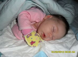 SAM_0610