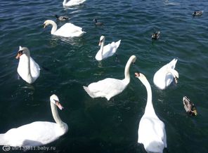 20120601_122417