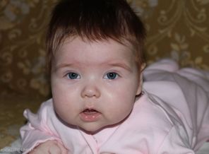 IMG_0379