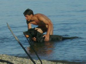 наши соседи