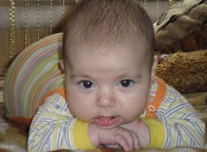SAM_0068