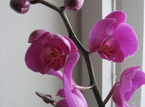 IMG_1663