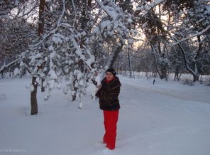 Зимняя прогулка