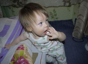Мой лохматик