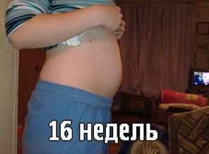16 недель