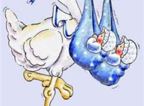 thumbnailCA6NMFS1