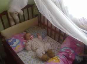 Сладкий сон